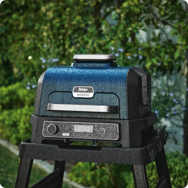 Electric BBQ Grills