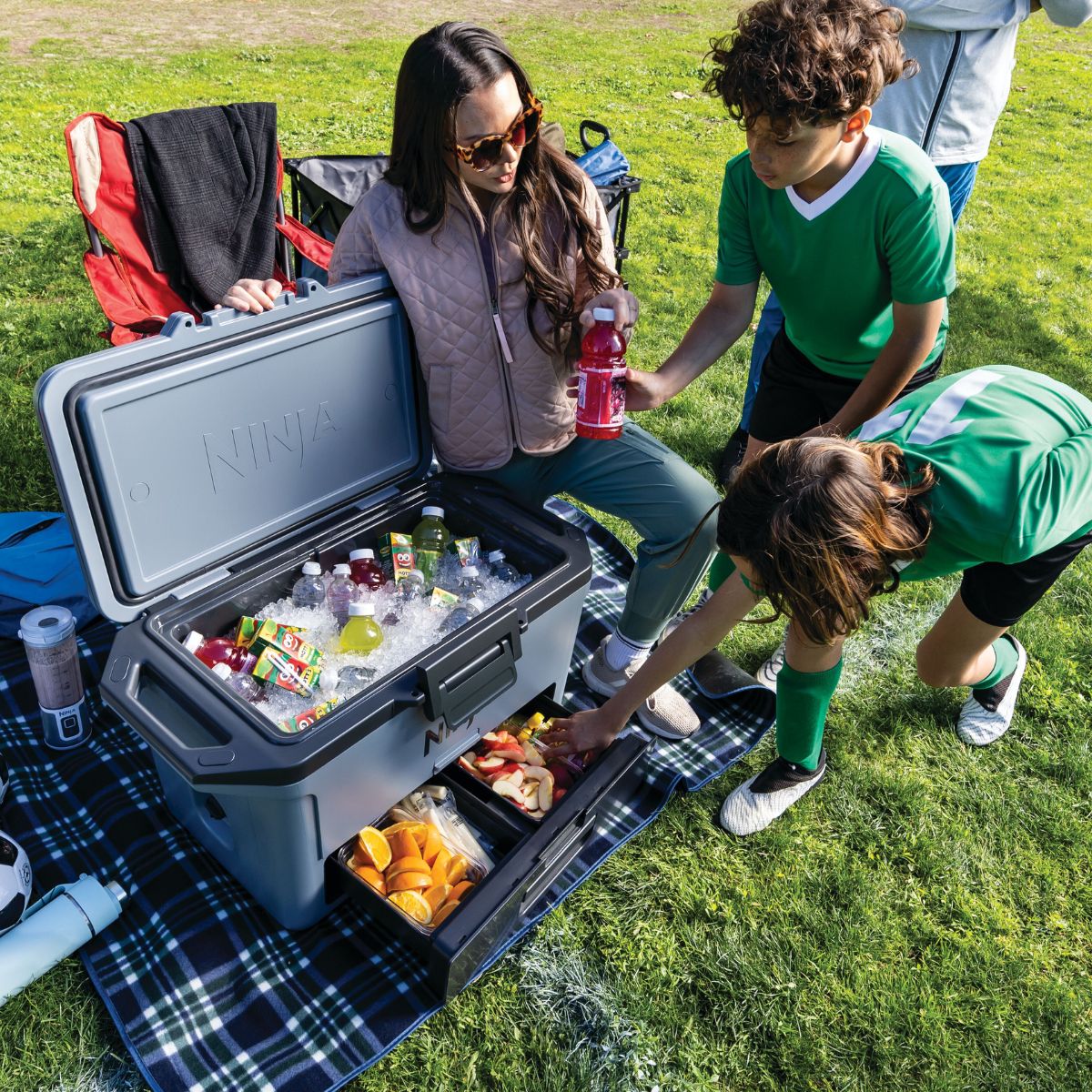 Ninja FrostVault 30QT Hard Cooler with Dry Zone Grey FB131UKGY
