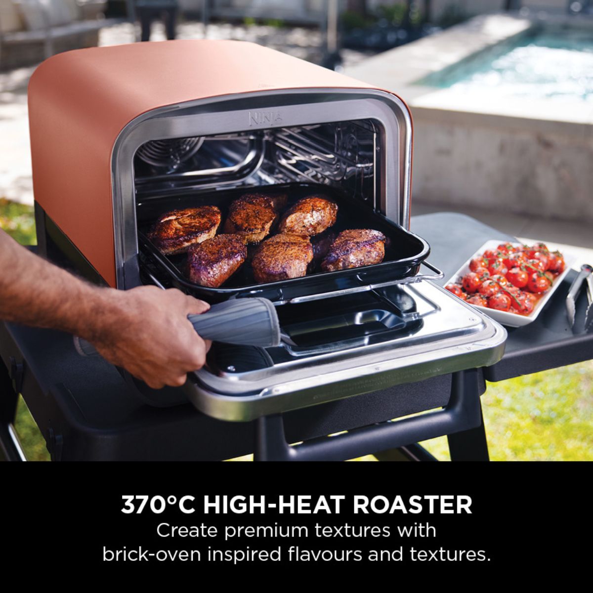 Ninja Woodfire Outdoor Oven with Stand & Pizza Peel Silver/Black DSN001