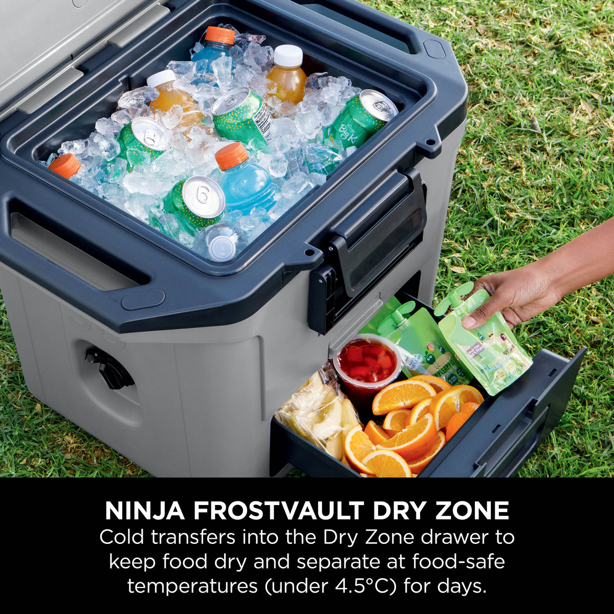 Ninja FrostVault 30QT Hard Cooler with Dry Zone Grey FB131UKGY