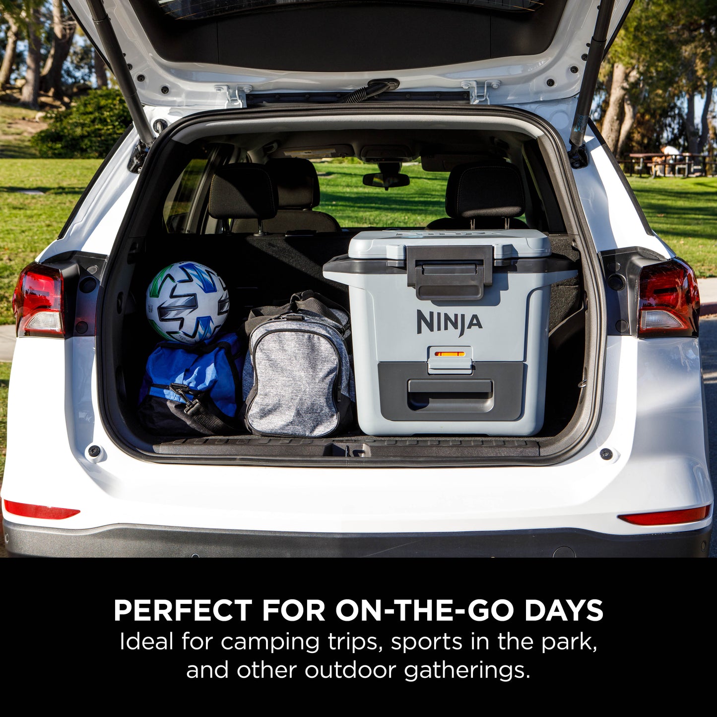 Ninja FrostVault 30QT Hard Cooler with Dry Zone Grey FB131UKGY