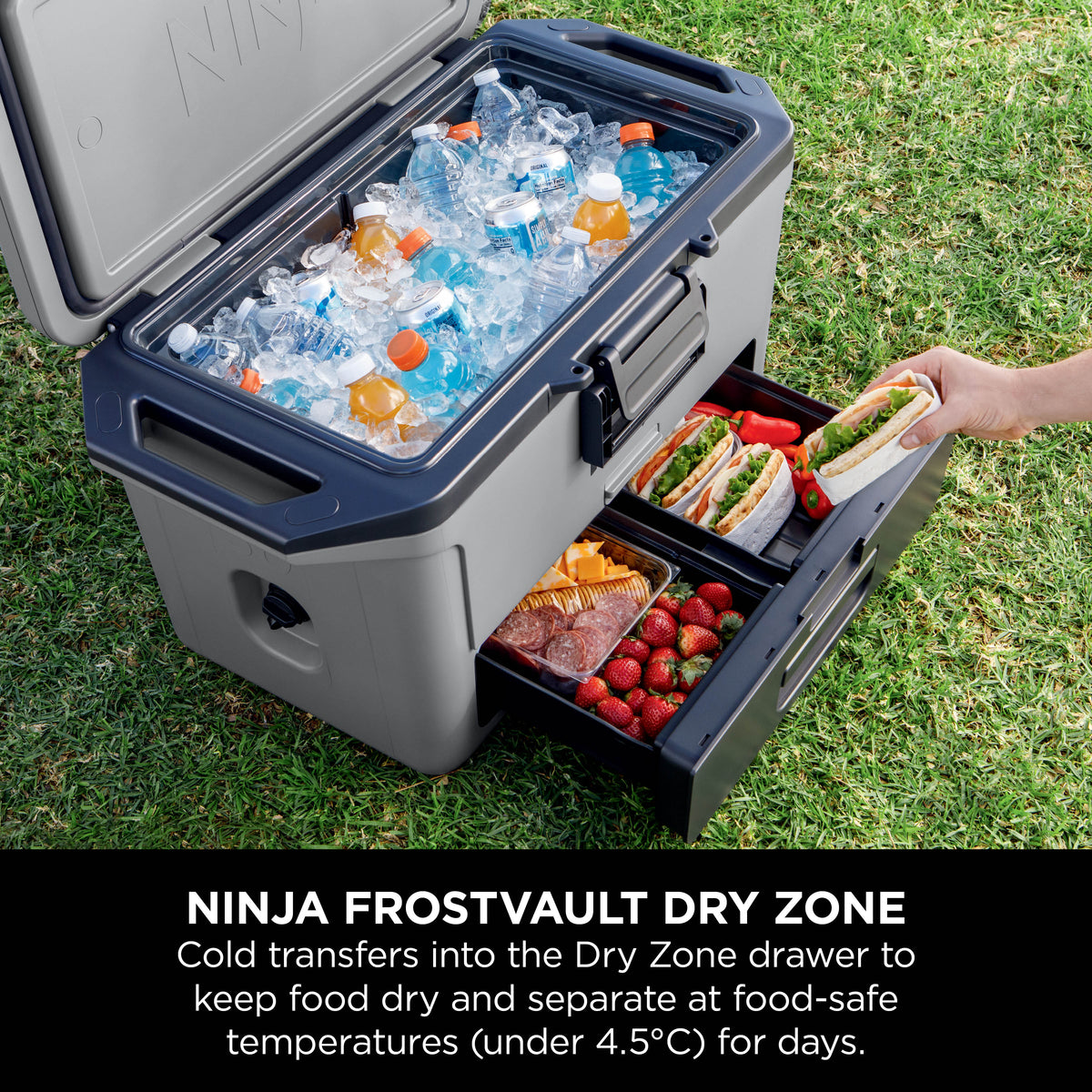 Ninja FrostVault 50QT Hard Cooler with Dry Zone Grey FB151UKGY